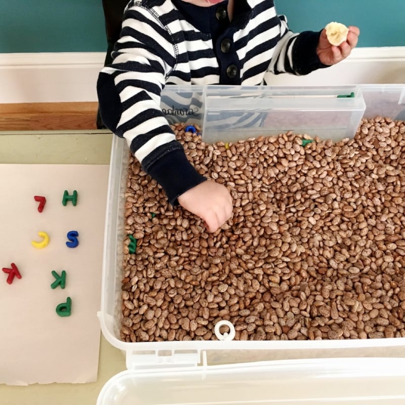 Alphabet Beans