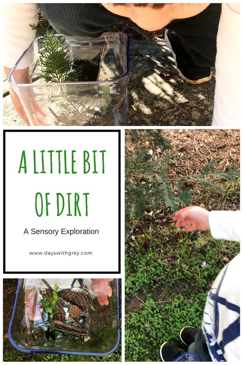leaf activities for preschoolers