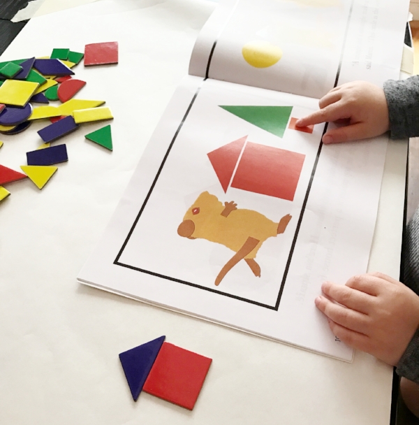 shape activity