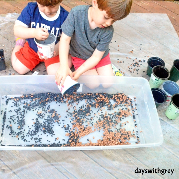 bean sensory bin for preschoolers