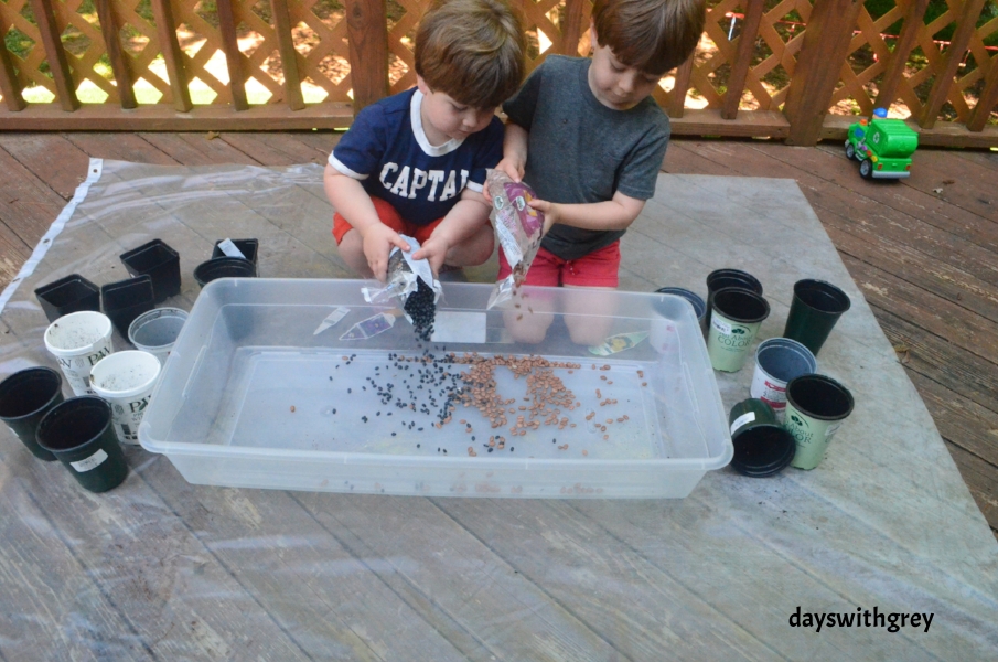 bean sensory bin for preschoolers