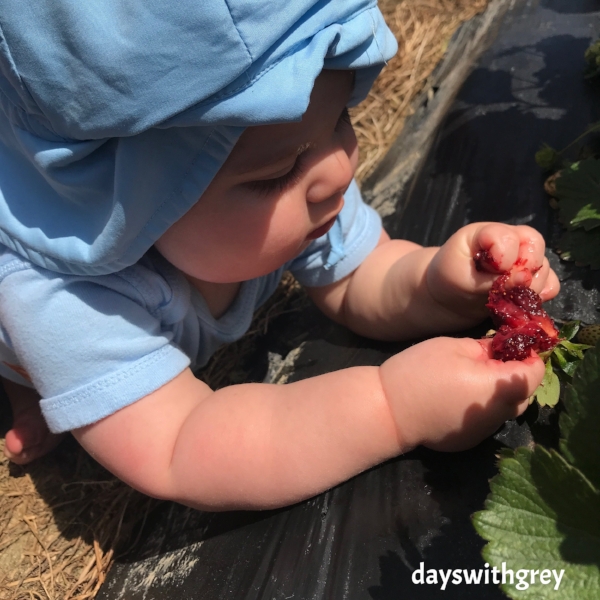 edible baby sensory bin