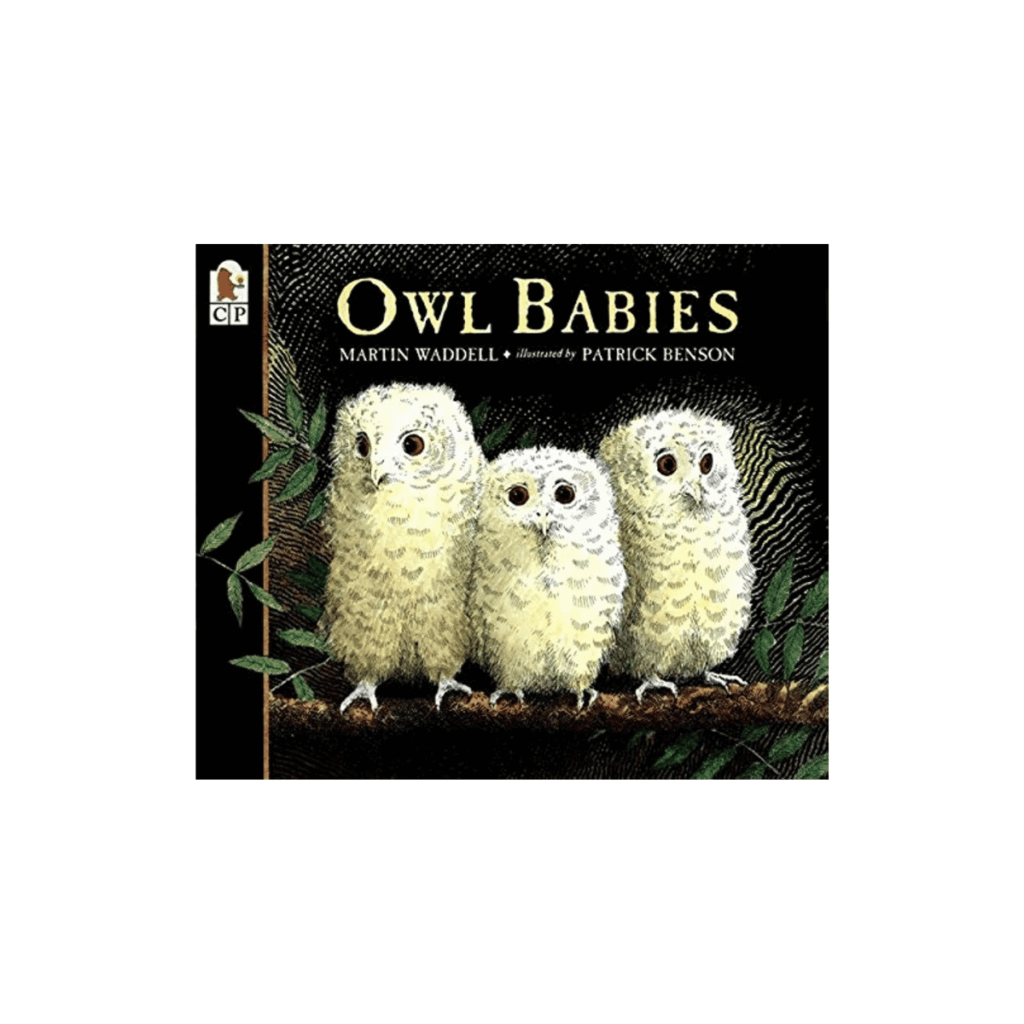 Image of the board book, Owl Babies.