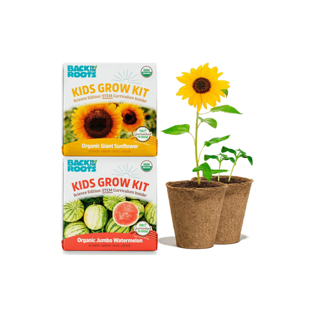 This is a kids grow a garden kit that grows a sunflower and watermelon.