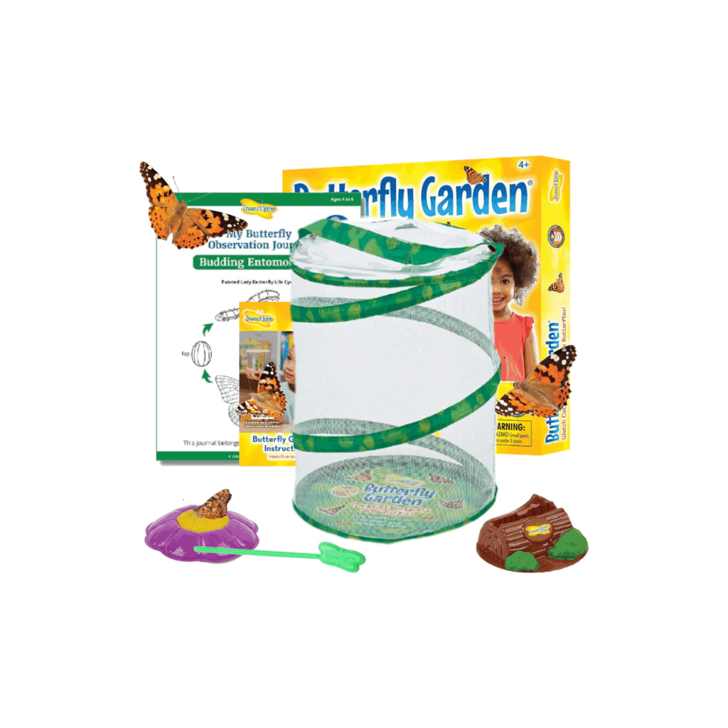 This is a butterfly garden kit that kids can watch caterpillars turn into butterflies.